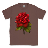 Chestnut Oklahoma Rose Illustrations Classic Tee - LillyAllenDesigns