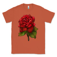 Copper Oklahoma Rose Illustrations Classic Tee - LillyAllenDesigns