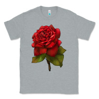Heather Grey Oklahoma Rose Illustrations Classic Tee - LillyAllenDesigns