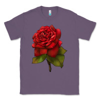 Lavender Oklahoma Rose Illustrations Classic Tee - LillyAllenDesigns