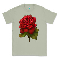 Oklahoma Rose Illustrations Classic Tee | Teevron