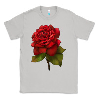 Moon Dust Oklahoma Rose Illustrations Classic Tee - LillyAllenDesigns