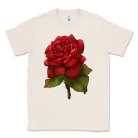Natural Oklahoma Rose Illustrations Classic Tee - LillyAllenDesigns