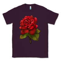 Plum Oklahoma Rose Illustrations Classic Tee - LillyAllenDesigns