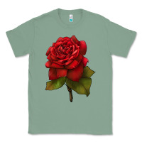 Sage Oklahoma Rose Illustrations Classic Tee - LillyAllenDesigns