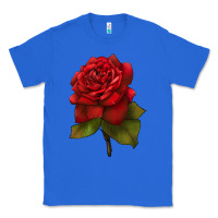 True Royal Oklahoma Rose Illustrations Classic Tee - LillyAllenDesigns