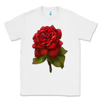 White Oklahoma Rose Illustrations Classic Tee - LillyAllenDesigns