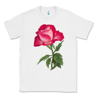 White Love At First Sight Rose Classic Tee - LillyAllenDesigns