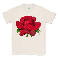 Natural Oklahoma Rose Illustrations Classic Tee - LillyAllenDesigns