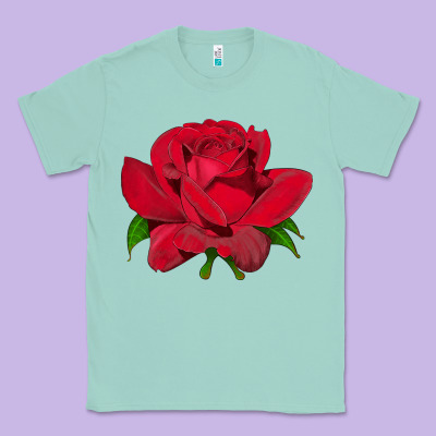 Oklahoma Rose Illustrations Classic Tee Designed By Lillyallendesigns