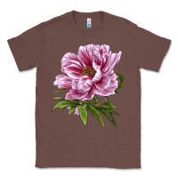 Chestnut Peony Flower Illustrations Classic Tee - LillyAllenDesigns