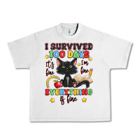 Lunar Rock i survived 100 days it's fine i'm fine Urban Heavy Tee - Artiststas