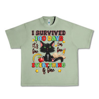 I Survived 100 Days It's Fine I'm Fine Urban Heavy Tee | Teevron