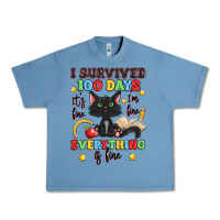 Pebble Blue i survived 100 days it's fine i'm fine Urban Heavy Tee - Artiststas