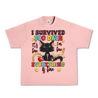 Salmon i survived 100 days it's fine i'm fine Urban Heavy Tee - Artiststas
