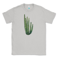 Moon Dust Organ Pipe Cactus Classic Tee - LillyAllenDesigns