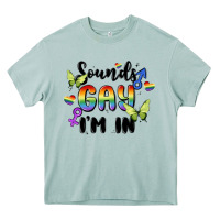 Arona sounds gay i'm in Heavy Core Tee - MaliasSmallBusiness