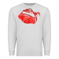 Dove Grey Chin Guard Fa Element Premium Sweatshirt - FaDigitalArtStudio