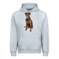Heather Grey plott hound Urban Hoodie - LillyAllenDesigns