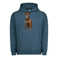 Pigment Midnight Navy plott hound Urban Hoodie - LillyAllenDesigns