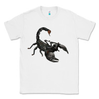White scorpion Classic Tee - JahusDesignShop
