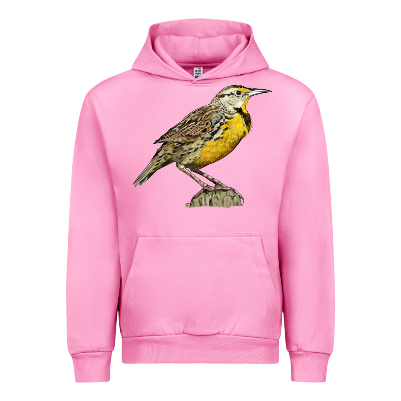 Western Meadowlark Urban Hoodie by LillyAllenDesigns | Teevron