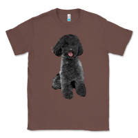 Chestnut black poodles dog Classic Tee - LillyAllenDesigns
