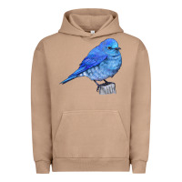 Pigment Burro Mountain Bluebird Urban Hoodie - LillyAllenDesigns