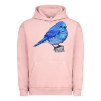 Pigment Salmon Mountain Bluebird Urban Hoodie - LillyAllenDesigns