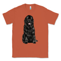 Copper newfoundland dog Classic Tee - LillyAllenDesigns