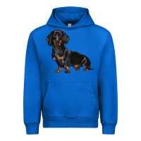 Cobalt Dachshund Dog Illustrations Urban Hoodie - LillyAllenDesigns
