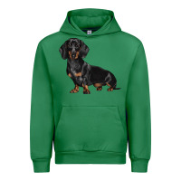 Emerald Dachshund Dog Illustrations Urban Hoodie - LillyAllenDesigns