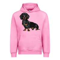 Fuchsia Pink Dachshund Dog Illustrations Urban Hoodie - LillyAllenDesigns