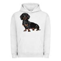 Pigment Lunar Rock Dachshund Dog Illustrations Urban Hoodie - LillyAllenDesigns