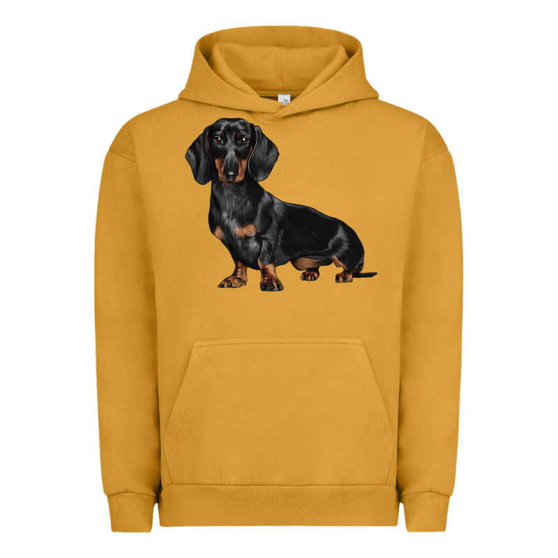 Dachshund Dog Illustrations Urban Hoodie by LillyAllenDesigns | Teevron