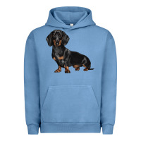 Pigment Pebble Blue Dachshund Dog Illustrations Urban Hoodie - LillyAllenDesigns