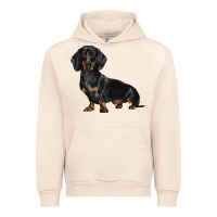 Sandshell Dachshund Dog Illustrations Urban Hoodie - LillyAllenDesigns