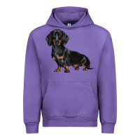 Tulip Dachshund Dog Illustrations Urban Hoodie - LillyAllenDesigns