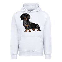 White Dachshund Dog Illustrations Urban Hoodie - LillyAllenDesigns