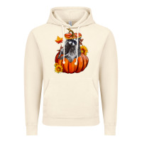 Vintage Artic Fall Pumpkin Raccoon Vintage Hoodie - LillyAllenDesigns