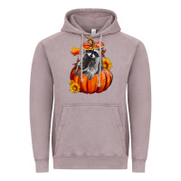 Vintage Zinc Fall Pumpkin Raccoon Vintage Hoodie - LillyAllenDesigns