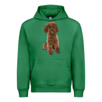 Emerald Poodles Dog lllustrations Urban Hoodie - LillyAllenDesigns
