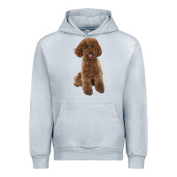 Poodles Dog Lllustrations Urban Hoodie | Teevron