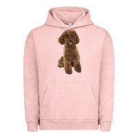 Pigment Salmon Poodles Dog lllustrations Urban Hoodie - LillyAllenDesigns