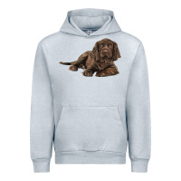 Heather Grey Sussex Spaniels llustrations Urban Hoodie - LillyAllenDesigns