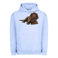 Pigment Grape Ice Sussex Spaniels llustrations Urban Hoodie - LillyAllenDesigns