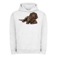 Pigment Lunar Rock Sussex Spaniels llustrations Urban Hoodie - LillyAllenDesigns