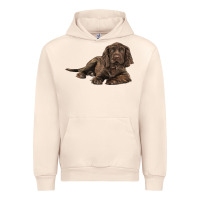 Sandshell Sussex Spaniels llustrations Urban Hoodie - LillyAllenDesigns