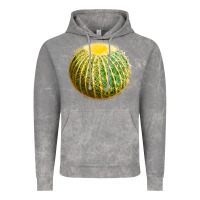 Cloud Rock Golden Barrel Cactus Vintage Hoodie - LillyAllenDesigns