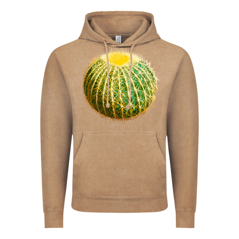 Golden Barrel Cactus Vintage Hoodie by LillyAllenDesigns | Teevron